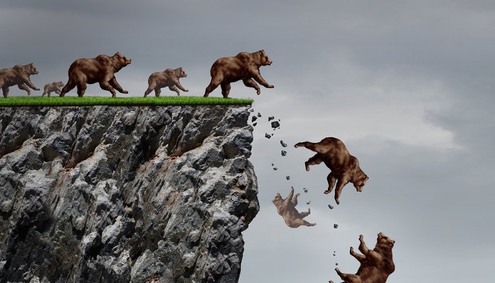 Animals following each other off a cliff