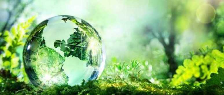 Sustainable Earth