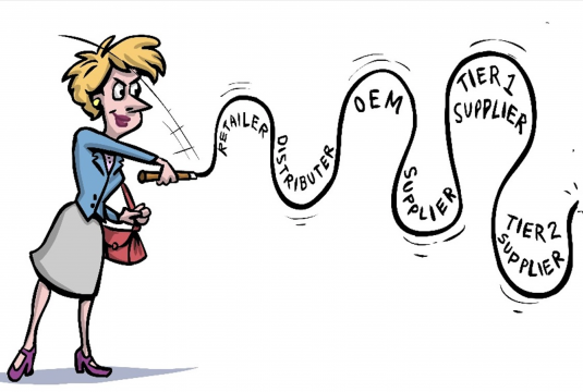 Bullwhip effect